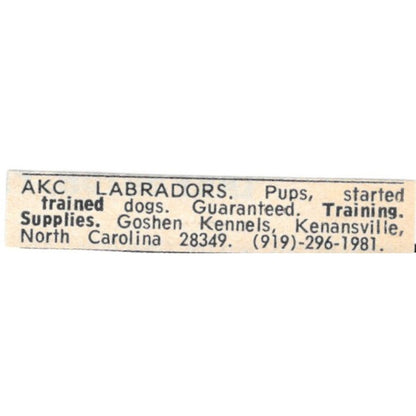 Goshen Kennels Labradors Kenansville NC 1977 Ad AF6-S7
