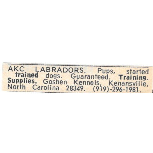 Goshen Kennels Labradors Kenansville NC 1977 Ad AF6-S7