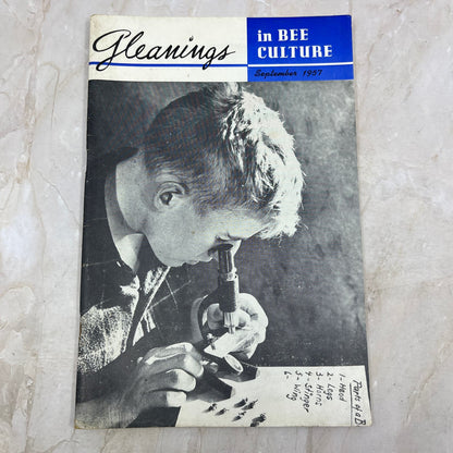 1957 Sept Gleanings in Bee Culture Magazine Bees Beekeeping Honey TD7