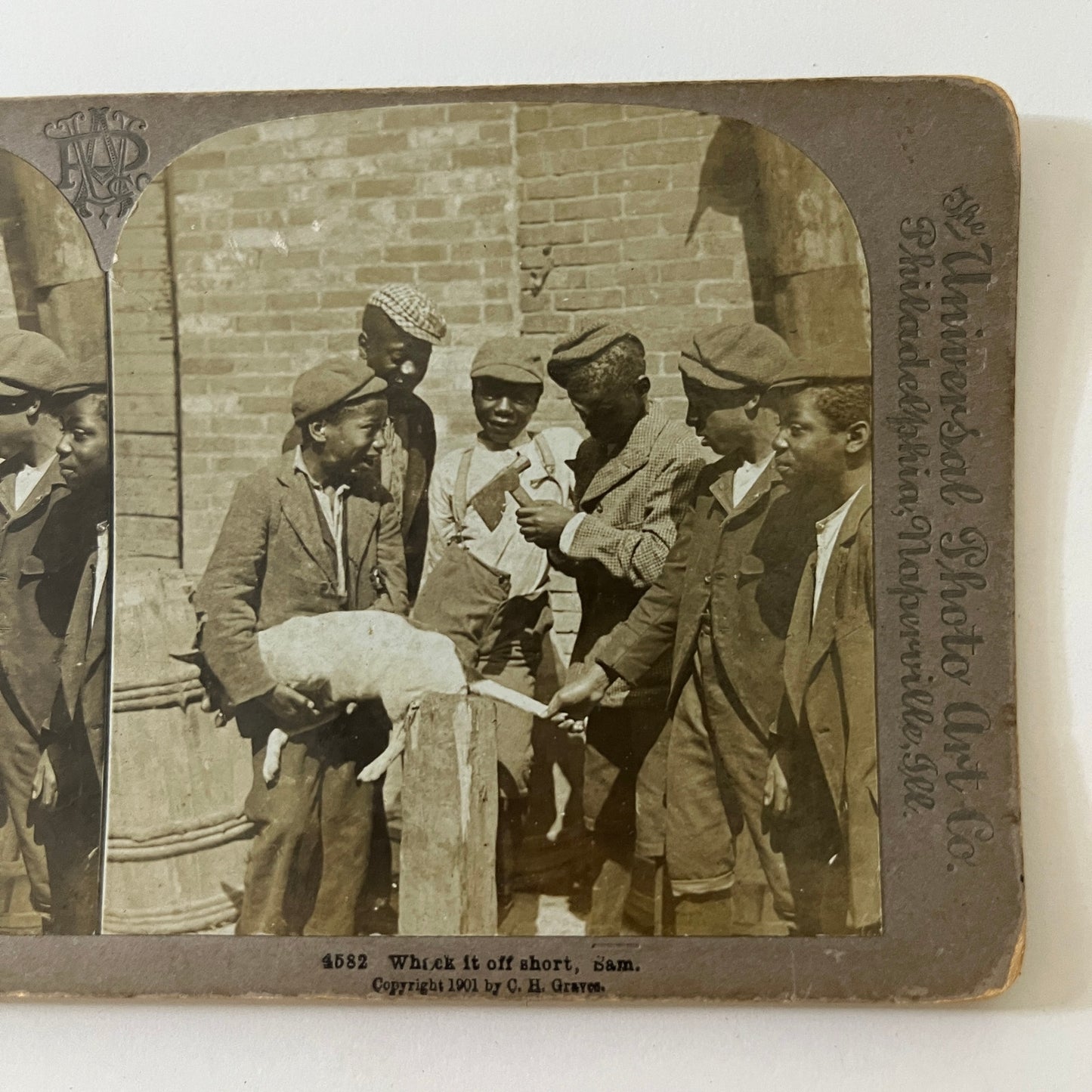c1890 Group of African American Boys With Dog Stereoview Card TE2-YN