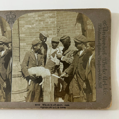 c1890 Group of African American Boys With Dog Stereoview Card TE2-YN