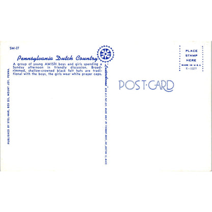 Amish Boys and Girls Conversing Pennsylvania Dutch Country Vintage Postcard PD4