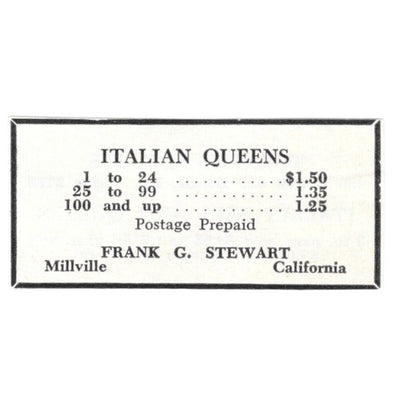 Italian Queens Frank G. Stewart Millville California 1961 Magazine Ad AB6-S13