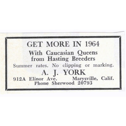 A.J. York Caucasian Queen Bees Marysville CA 1964 Magazine Ad AK6-S15