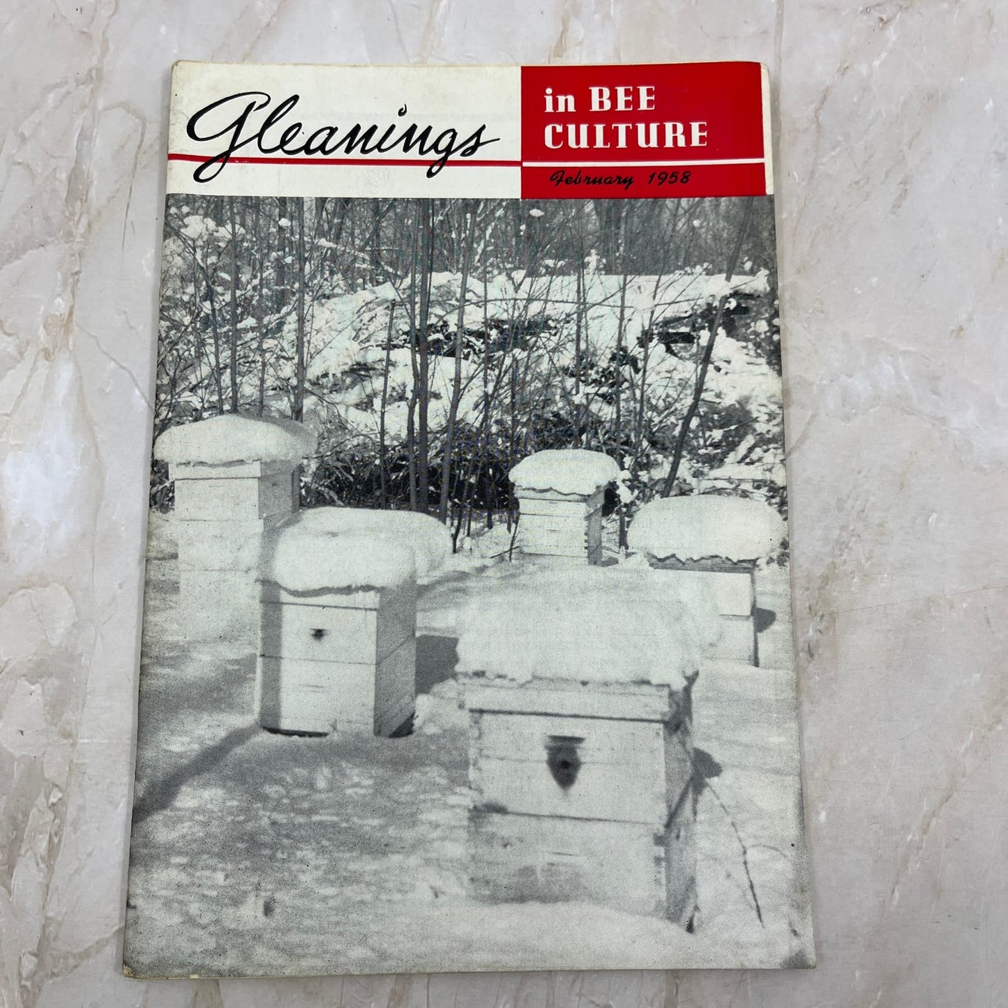 1958 Feb Gleanings in Bee Culture Beekeeping Magazine A.I. Root Co Medina OH TD5