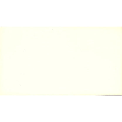 Let the Expert Do It Professional Cleaning Service Vintage Business Card SF3-B9