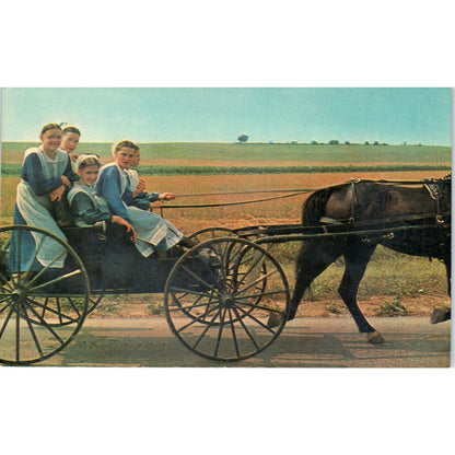 Amish Girls After Church in Buggy Pennsylvania Dutch Country Postcard PD7