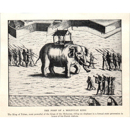 The Pomp of a Moluccan King Elephant Rider 1924 Magazine Clip AF2-A1