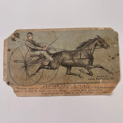 Jerome Eddy Horse Food Oldham and Colvin Falmouth 1880s Trade Card AG8-H4