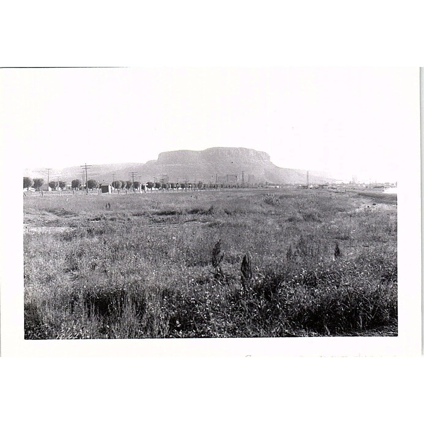 1952 Original Photograph of Mount McKay Ontario Canada 3x4" AF9-M3