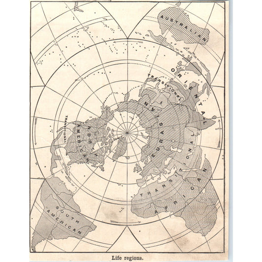 Overhead Map of Life Regions 1901 Engraving AF2-A6