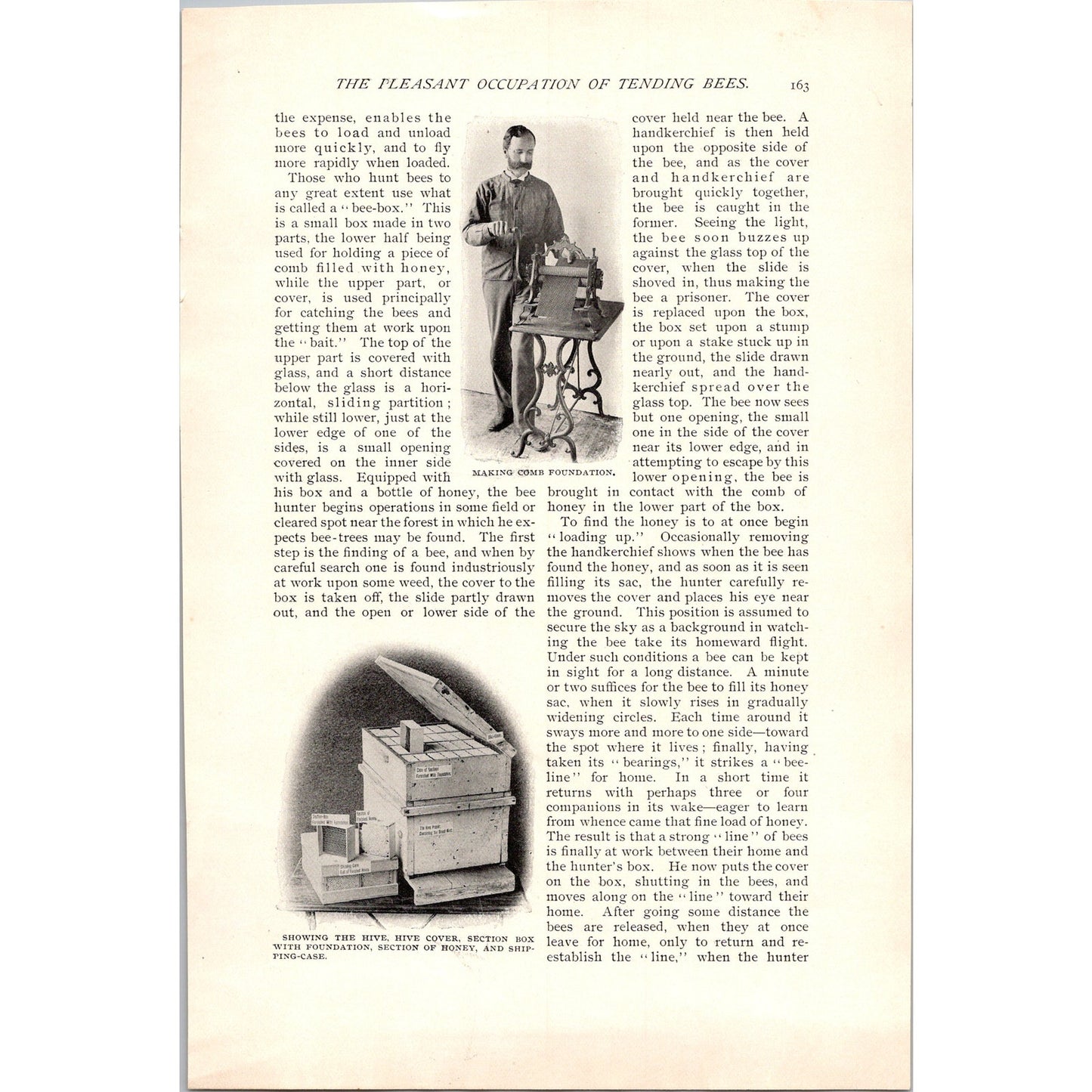 The Pleasant Occupation of Tending Bees W.Z Hutchinson 4 Page 1985 Article AH6-7