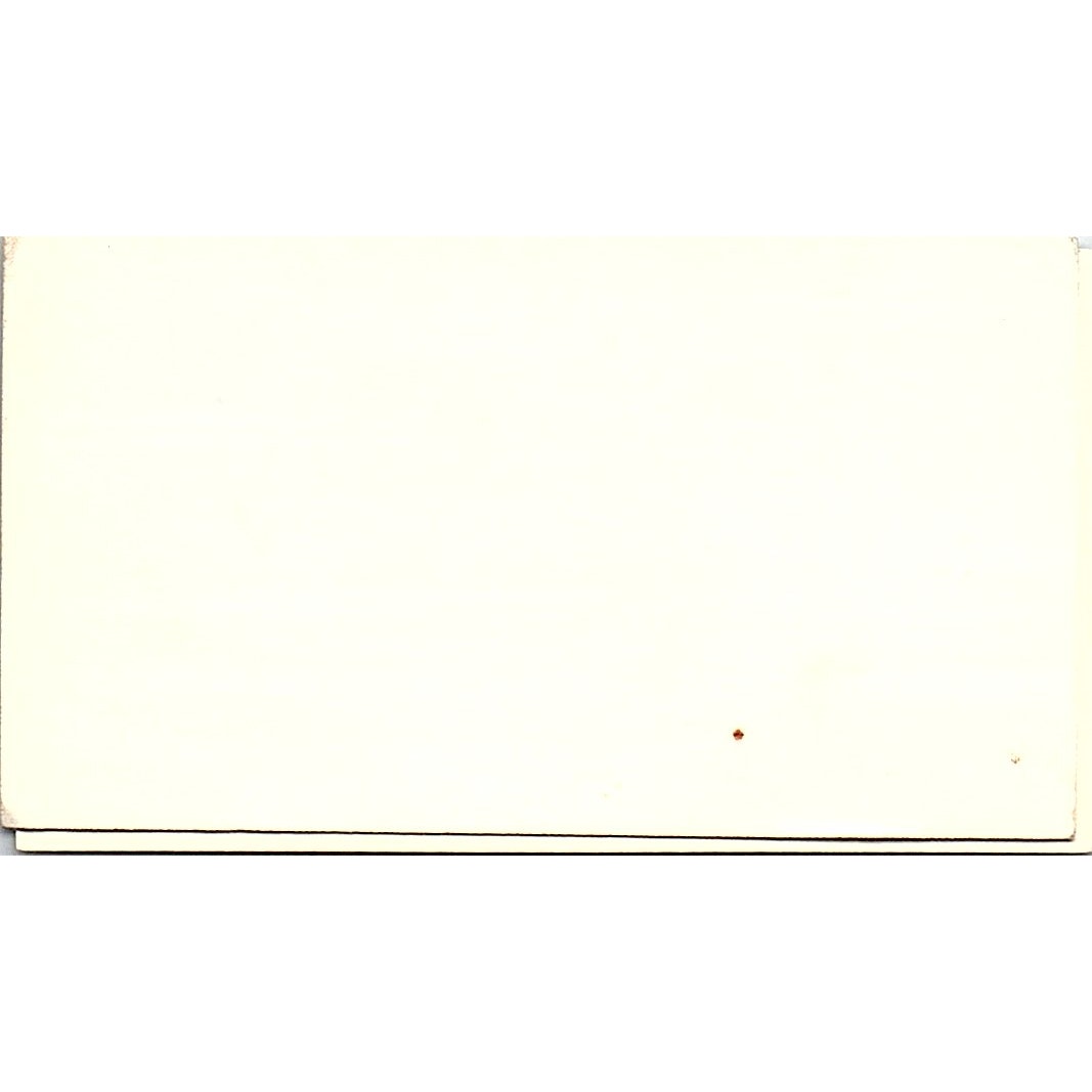 Wayne Outlaw The Macron Group Mt. Pleasant SC Vintage Business Card SC9-B5