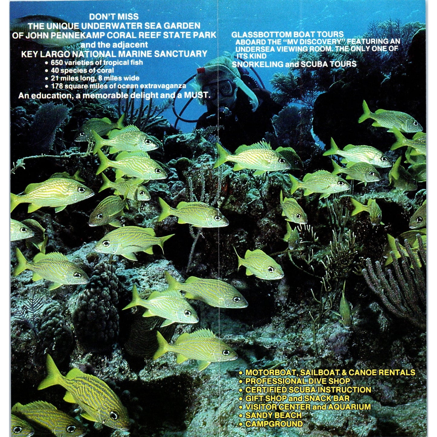 1980s John Pennekamp Coral Reef State Park Key Largo FL Fold Out Brochure TF4-BA