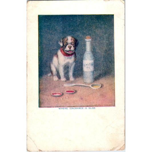 Puppy Dog Castor Oil Humor Cartoon Illustration 1907 Postcard PD2