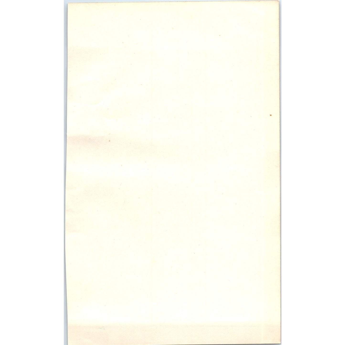 Creeper Bird 1903 Original Color Engraving Plate Print AD8-B4