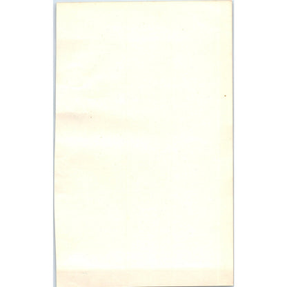 Creeper Bird 1903 Original Color Engraving Plate Print AD8-B4