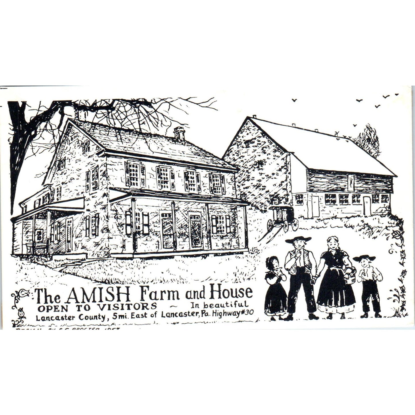Lancaster Amish Farm & House Illustrated Pennsylvania Dutch Country Postcard PD5