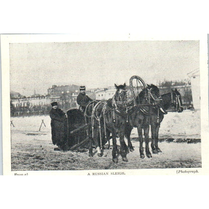 A Russian Sleigh 1897 Victorian Photo AE9-TS7