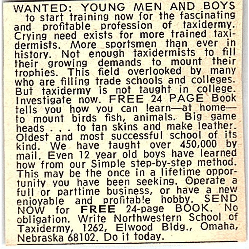Northwestern School of Taxidermy Omaha NE 1977 Ad AF6-M3