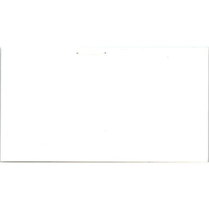 Excelsior-Legal Inc Pat Witte Arlington TX Vintage Business Card SD8-B20