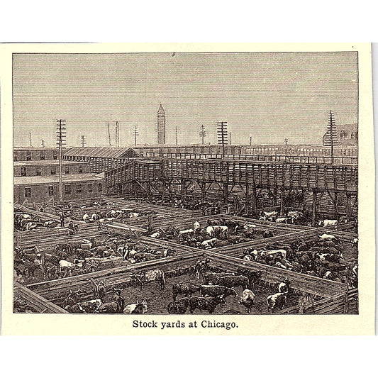 Stock Yards at Chicago 3x4" 1901 Engraving AF6-M12