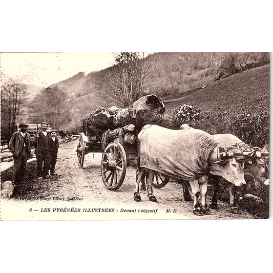 Les Pyrénées Illustrées Devant L'Objectif Ox Cart French Antique Postcard PE11