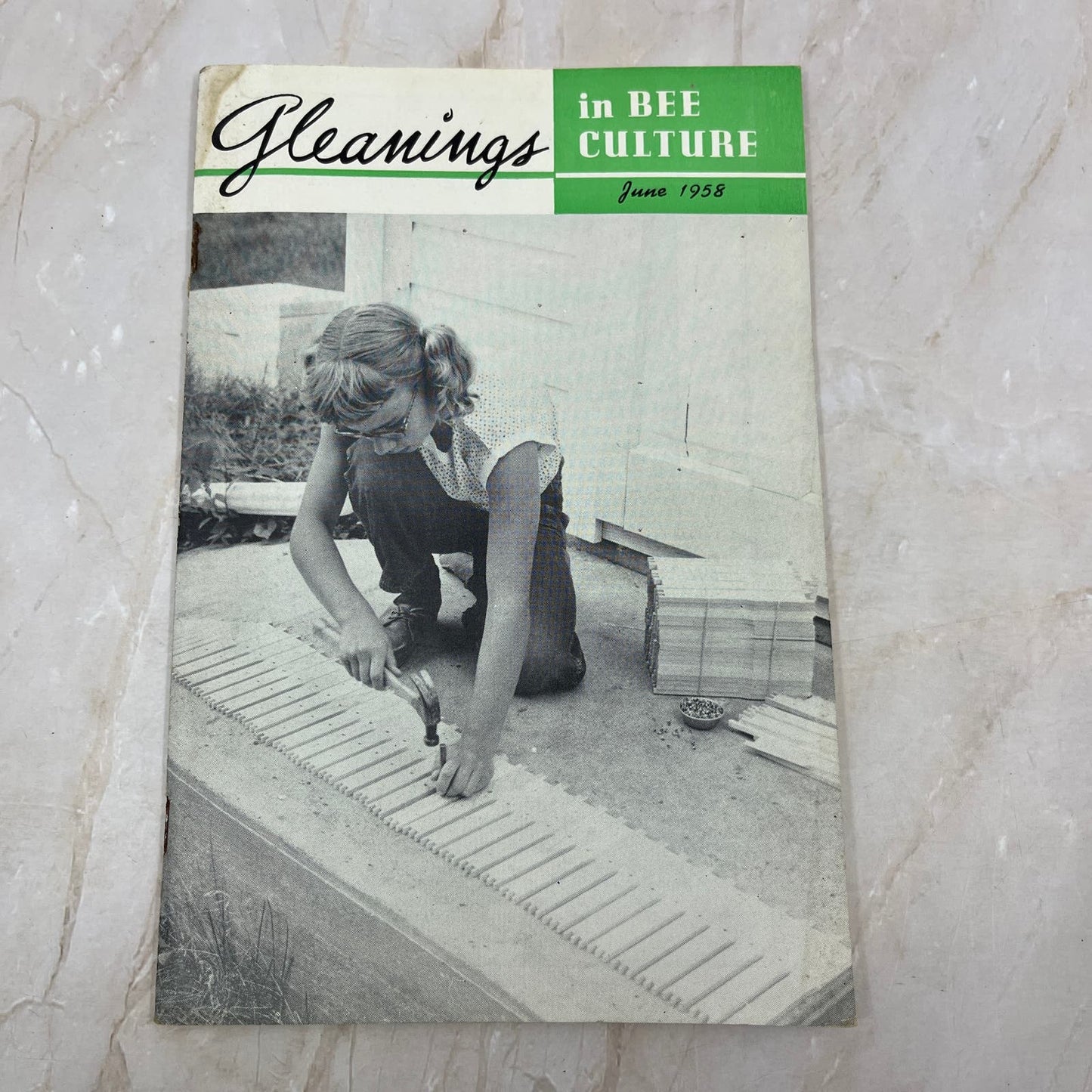 1958 Jun Gleanings in Bee Culture Beekeeping Magazine A.I. Root Co Medina OH TD5