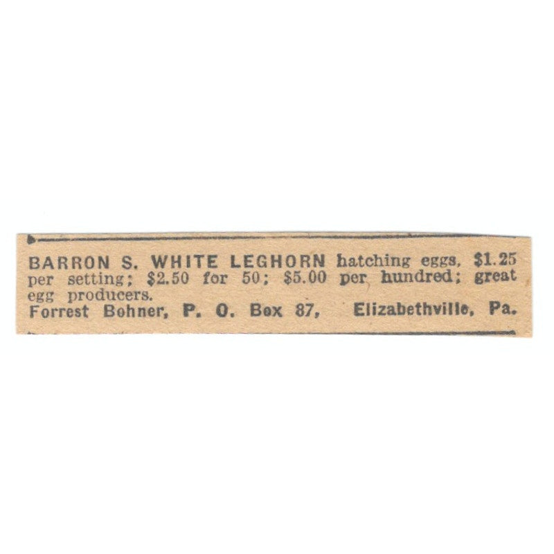 Forrest Bohner Barron S. White Leghorn Elizabethville PA 1922 Magazine Ad AF2-T3