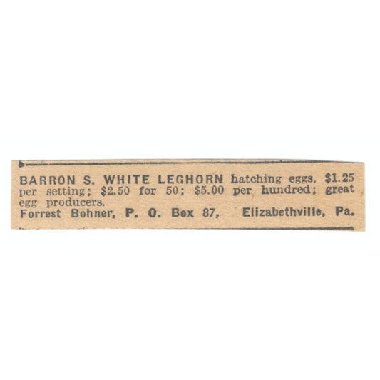 Forrest Bohner Barron S. White Leghorn Elizabethville PA 1922 Magazine Ad AF2-T3