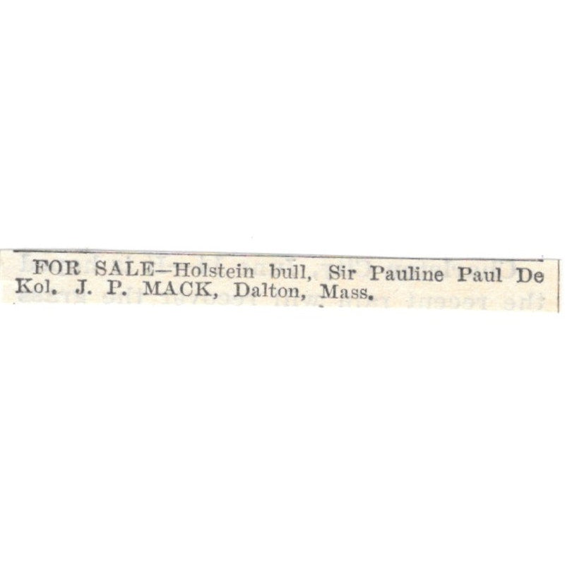 Holstein Bull Sir Pauline Paul De Kol J.P. Mack Dalton MA 1905 Ad AF1-NES2