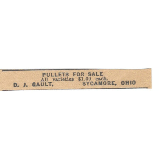 D.J. Gault Pullets For Sale Sycamore Ohio 1922 Magazine Ad AF2-T4