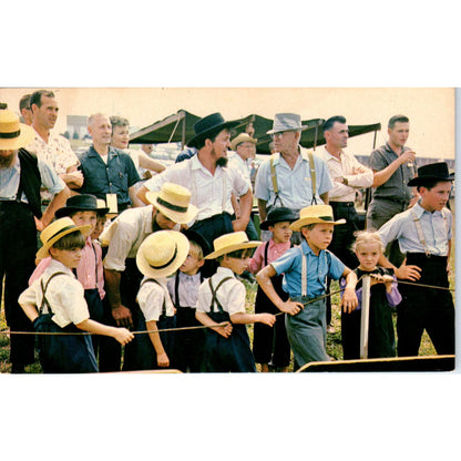Amish County Fair in Pennsylvania Dutch Country Vintage Postcard PD4