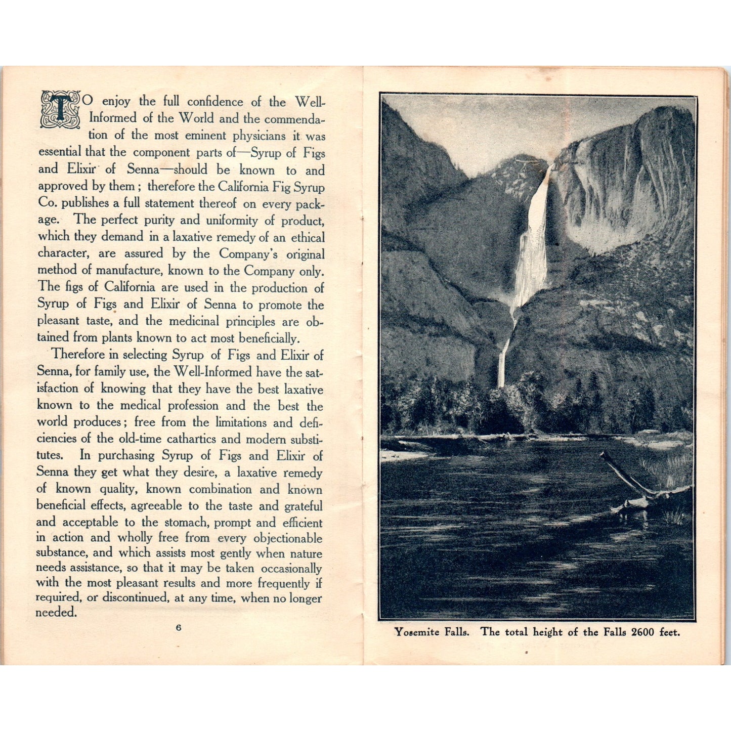 c1910 California Fig Syrup Co California Attractions Travel Book 20 Pages AD8-R4