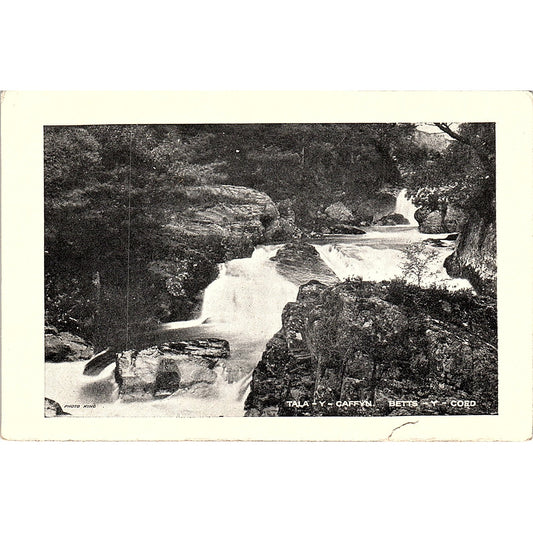 Tala Y Caffyn Betts Y Coed French Antique Postcard PE11