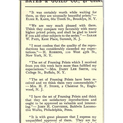 Braun's Carbon Prints Braun, Clement & Co New York - 1908 Ad AF5-5