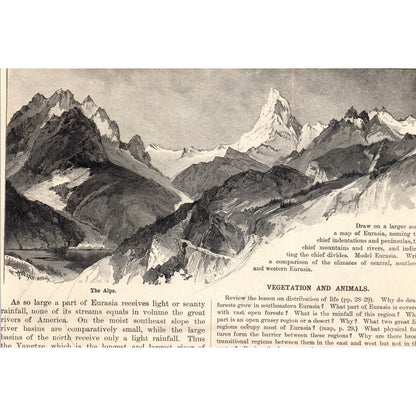 Animals of Eurasia Rhino Chamois Ibex Cobra Langur 1901 Engraving AF2-A6