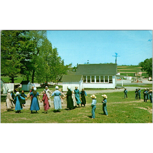 Amish School Children at Play Pennsylvania Dutch Country Postcard PD8