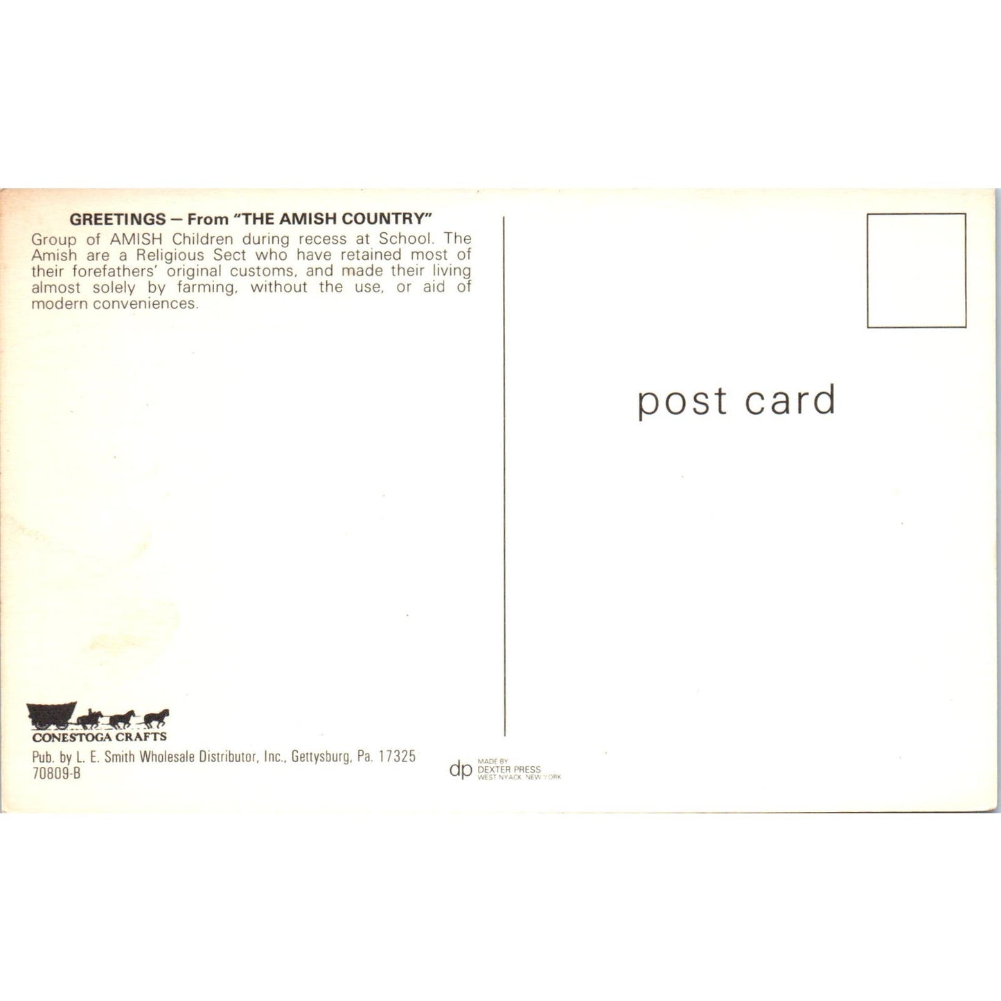 Amish Children During Recess at School Pennsylvania Dutch Country Postcard PD8