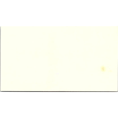 Gifts'N'Gadgets Terri Middleswarth Sun Valley CA Vintage Business Card SF3-B4