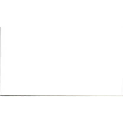 Dan E. Timmins Jr Vyvx Houston TX Vintage Business Card SD8-B19