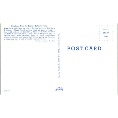 Amish Boy on Sunday Buggy Ride Pennsylvania Dutch Country Postcard PD8