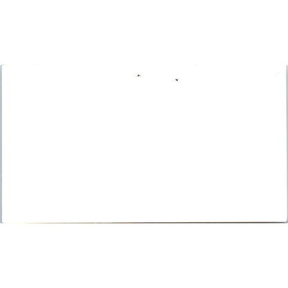 Stephen A Mitchell Attorneys Houston Vintage Business Card SD8-B18