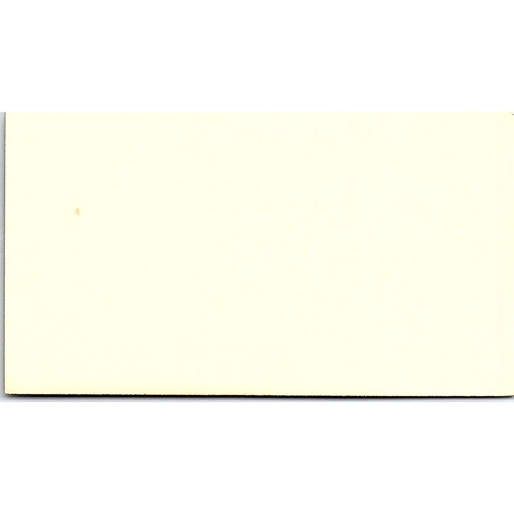 Westside GT Auto Tint Carlos Urgiles Ray A Johnson Houston Business Card SD9-B14