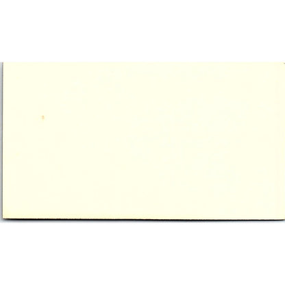 Westside GT Auto Tint Carlos Urgiles Ray A Johnson Houston Business Card SD9-B14