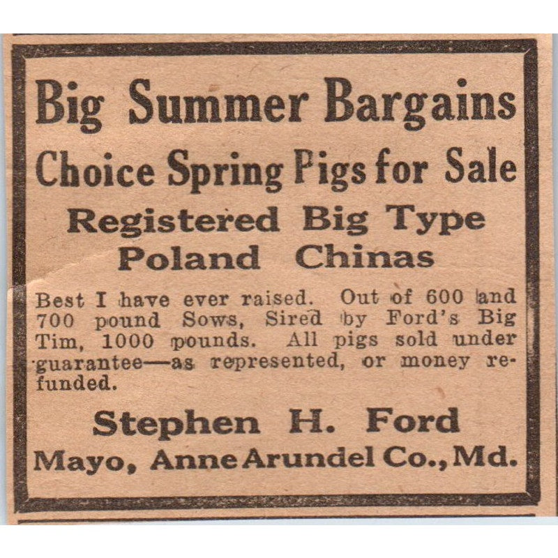 Stephen H. Ford Pigs Mayo Anne Arundel Co MD 1922 Magazine Ad AF2-S8