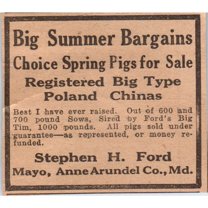 Stephen H. Ford Pigs Mayo Anne Arundel Co MD 1922 Magazine Ad AF2-S8