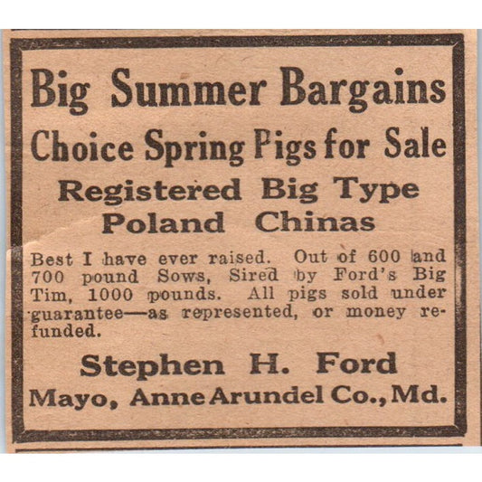 Stephen H. Ford Pigs Mayo Anne Arundel Co MD 1922 Magazine Ad AF2-S8