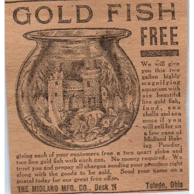 Free Goldfish Offer The Midland Mfg Co Toledo OH 1906 Original Ad AB6-CL1