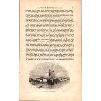 A Naturalist Among the Himalayas Dr. Hooker, James Ross 8 Pages 1854 Article I19